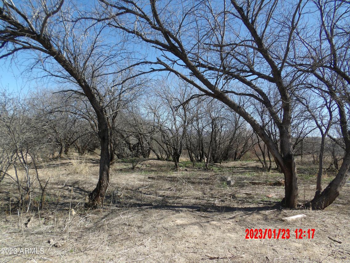 16160 N San Pedro River Rd. #NULL, Benson, AZ 85602