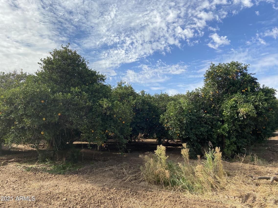 XXXXX E Navajo Dr. #32, Queen Creek, AZ 85142