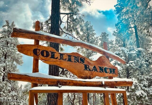 Lot 4 Wild Oak Dr. #4, Payson, AZ 85541