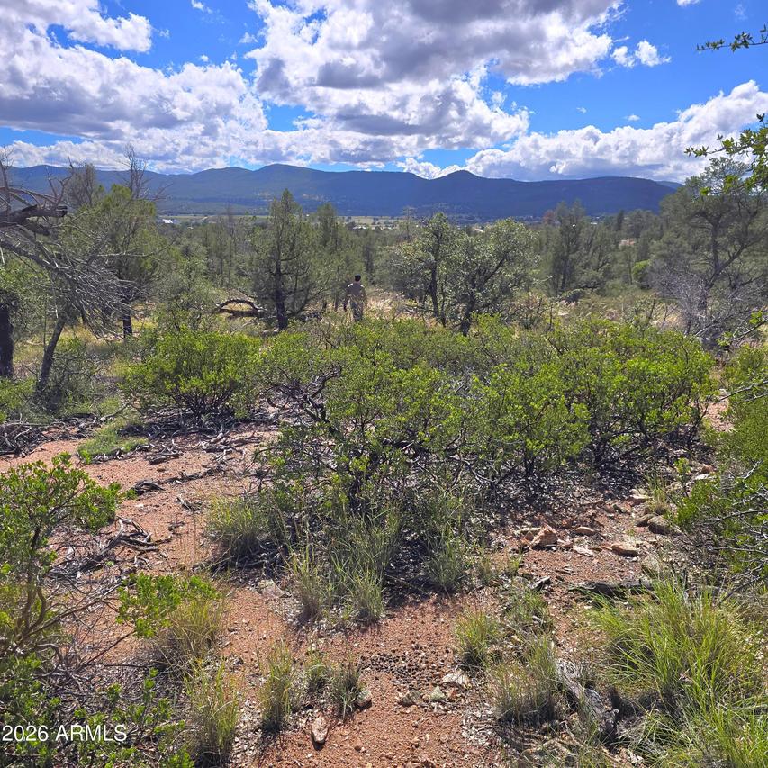 4R-5 N Ike Clark Pkwy. #5, Young, AZ 85554