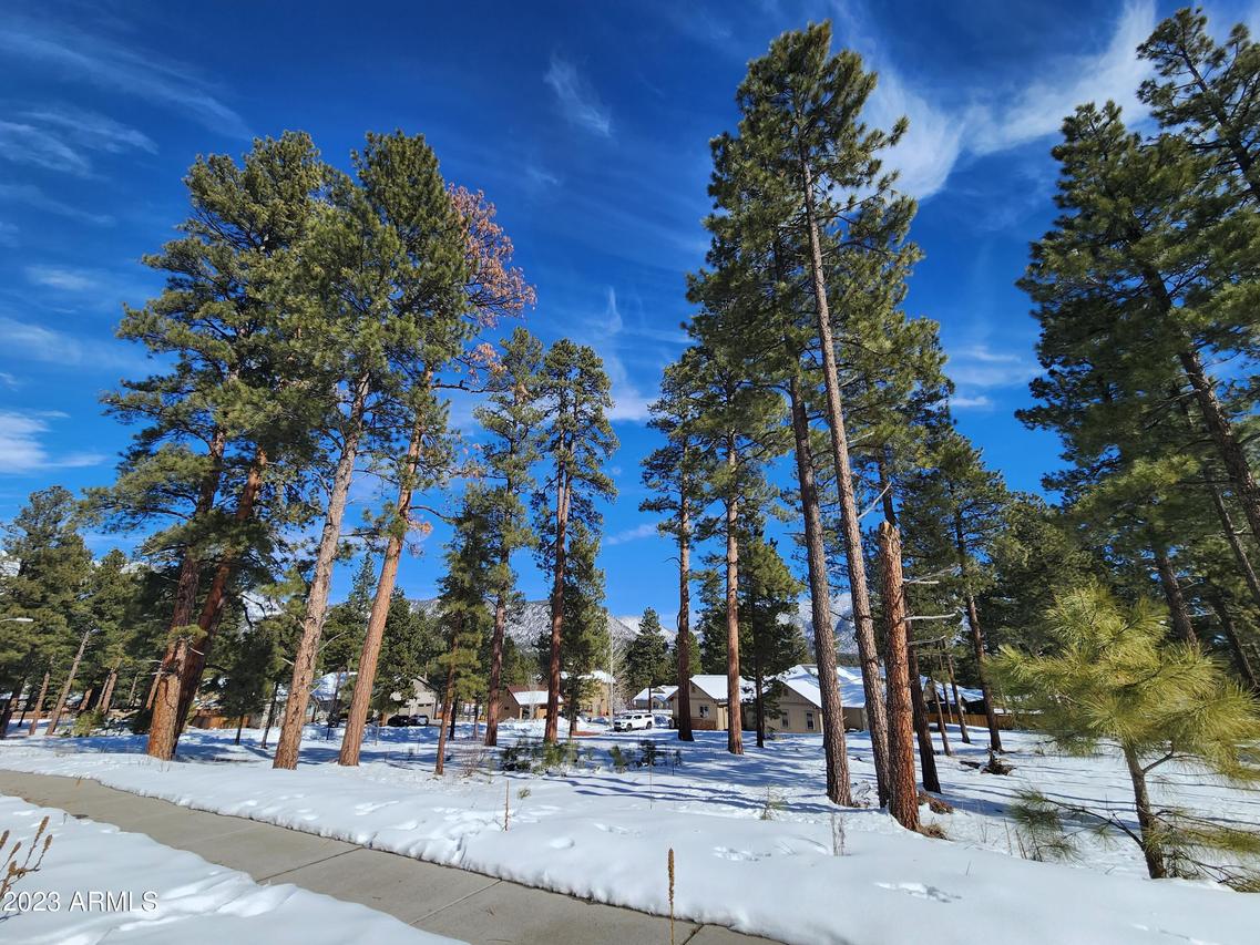 2088 N Cobblestone Cir. #21, Flagstaff, AZ 86001