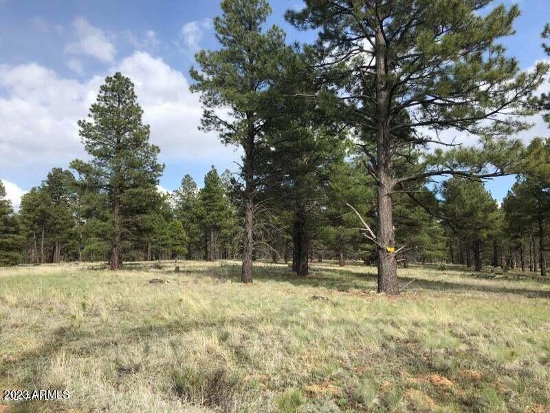 5401 S Cassandra Blvd. #-, Flagstaff, AZ 86005