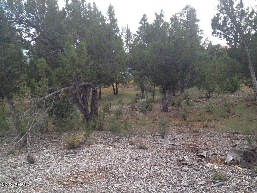 1536 Rocky Top Dr. #89, Heber, AZ 85928