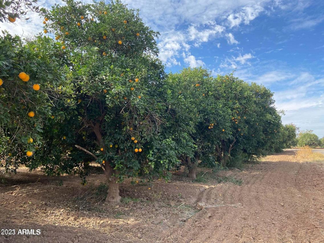 XXXXX E Navajo Dr. #32, Queen Creek, AZ 85142