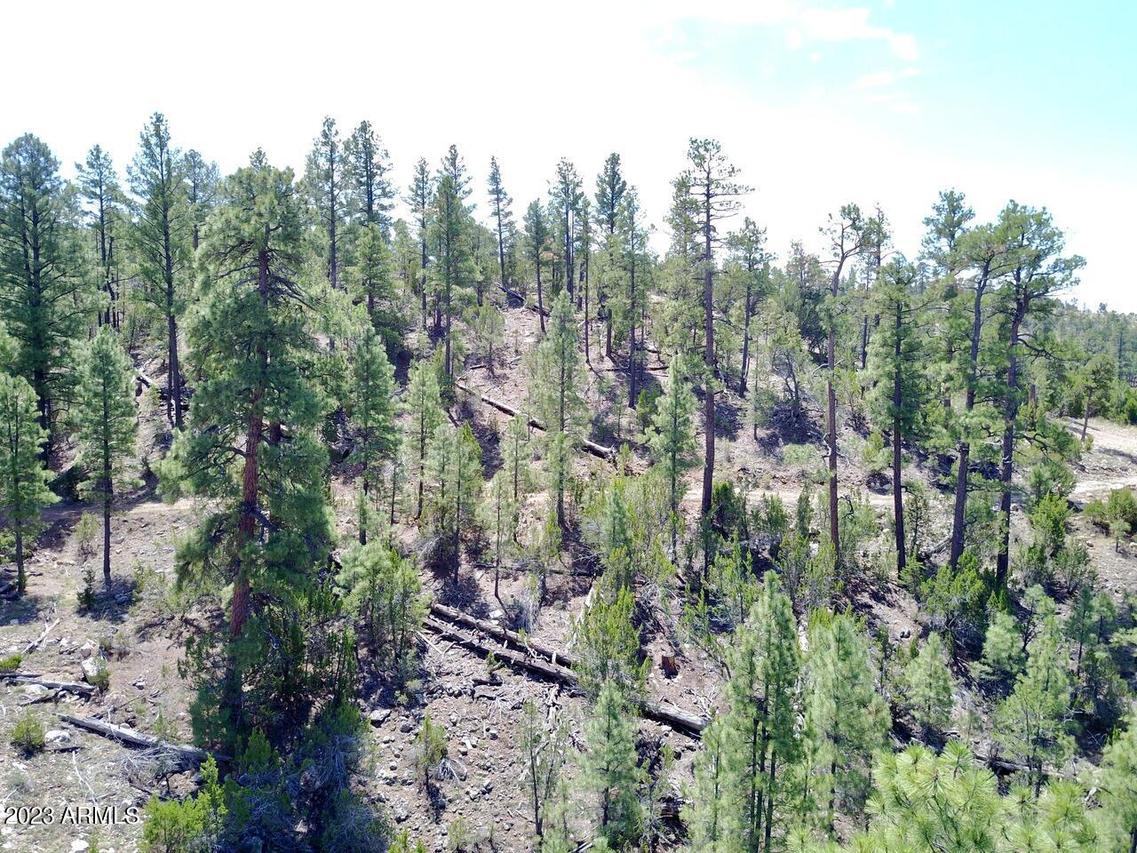 1737 Eskimo Ln. #-, Heber, AZ 85928