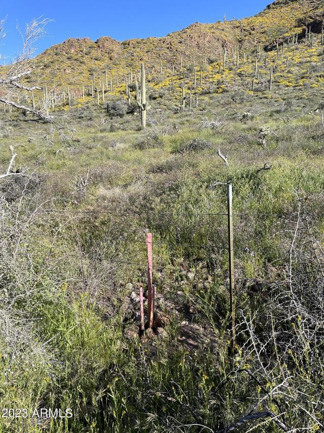 xBx N Elephant Butte Rd. #-, Queen Valley, AZ 85118