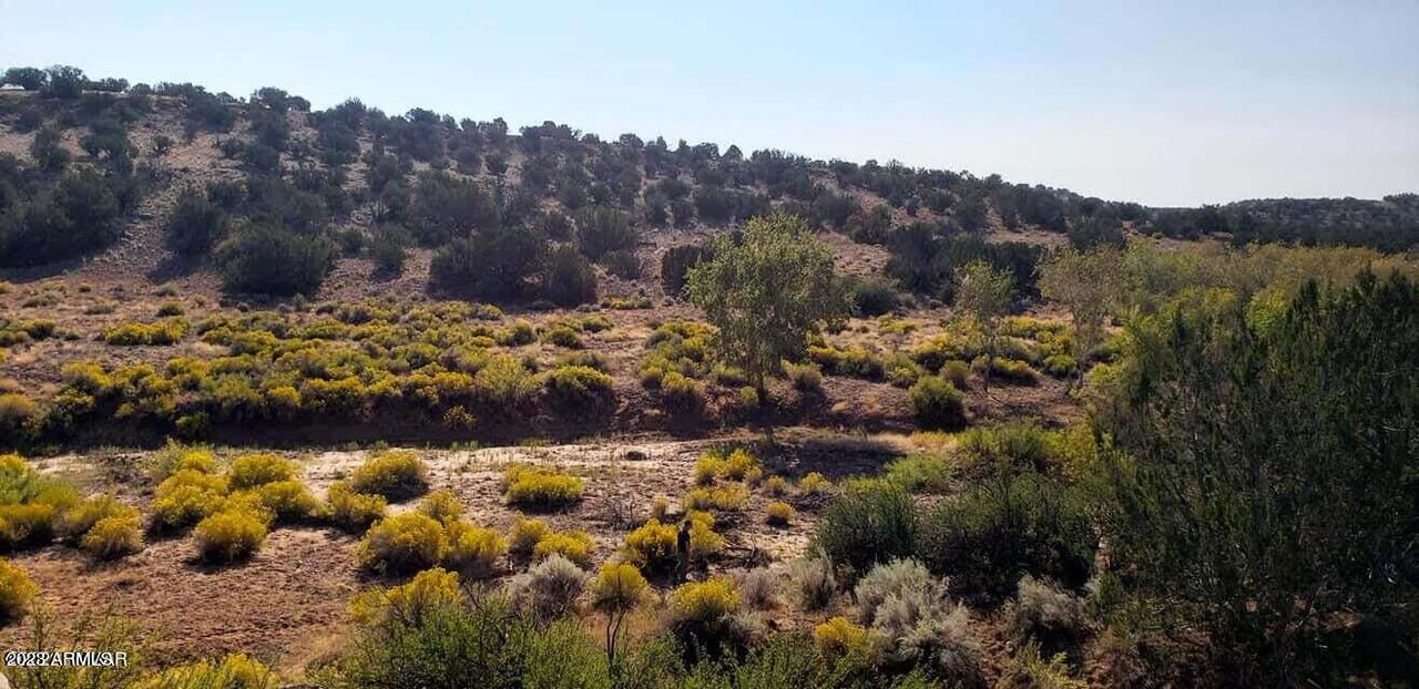 5828 Watermelon Dr. #126, Heber, AZ 85928