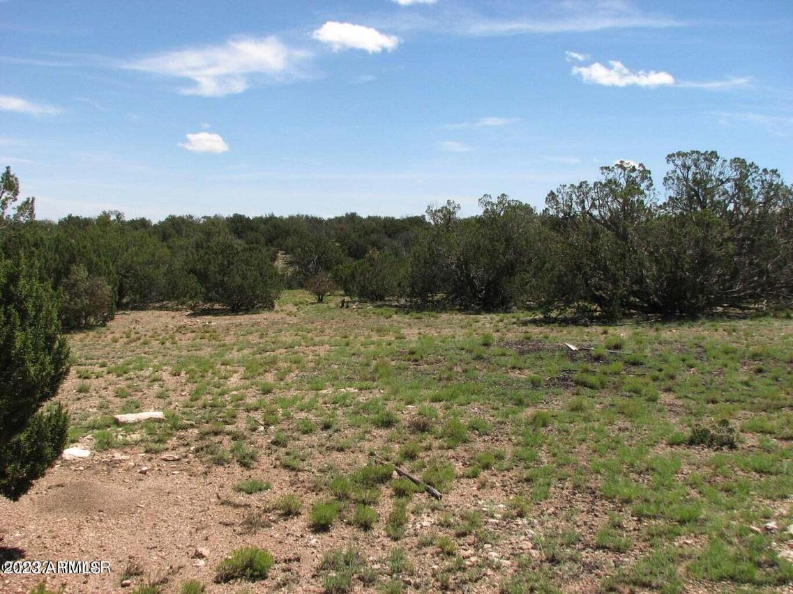 Sec 7 1690 Chevelon Ave #053, Heber, AZ 85928