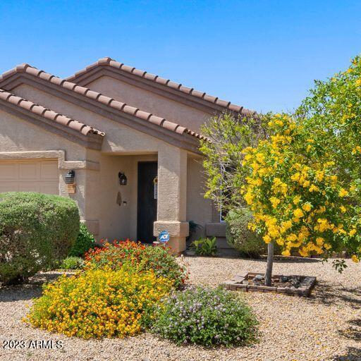 10326 E Emelita Ave., Mesa, AZ 85208