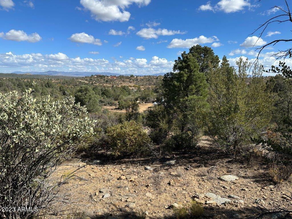 17XXX S Pinon Ln. #M2, Peeples Valley, AZ 86332