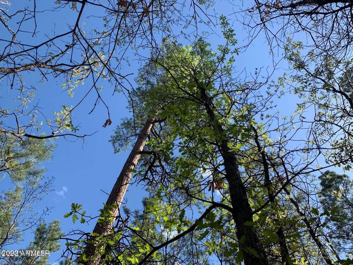 S Briarwood Ln. #55, Pinetop, AZ 85935