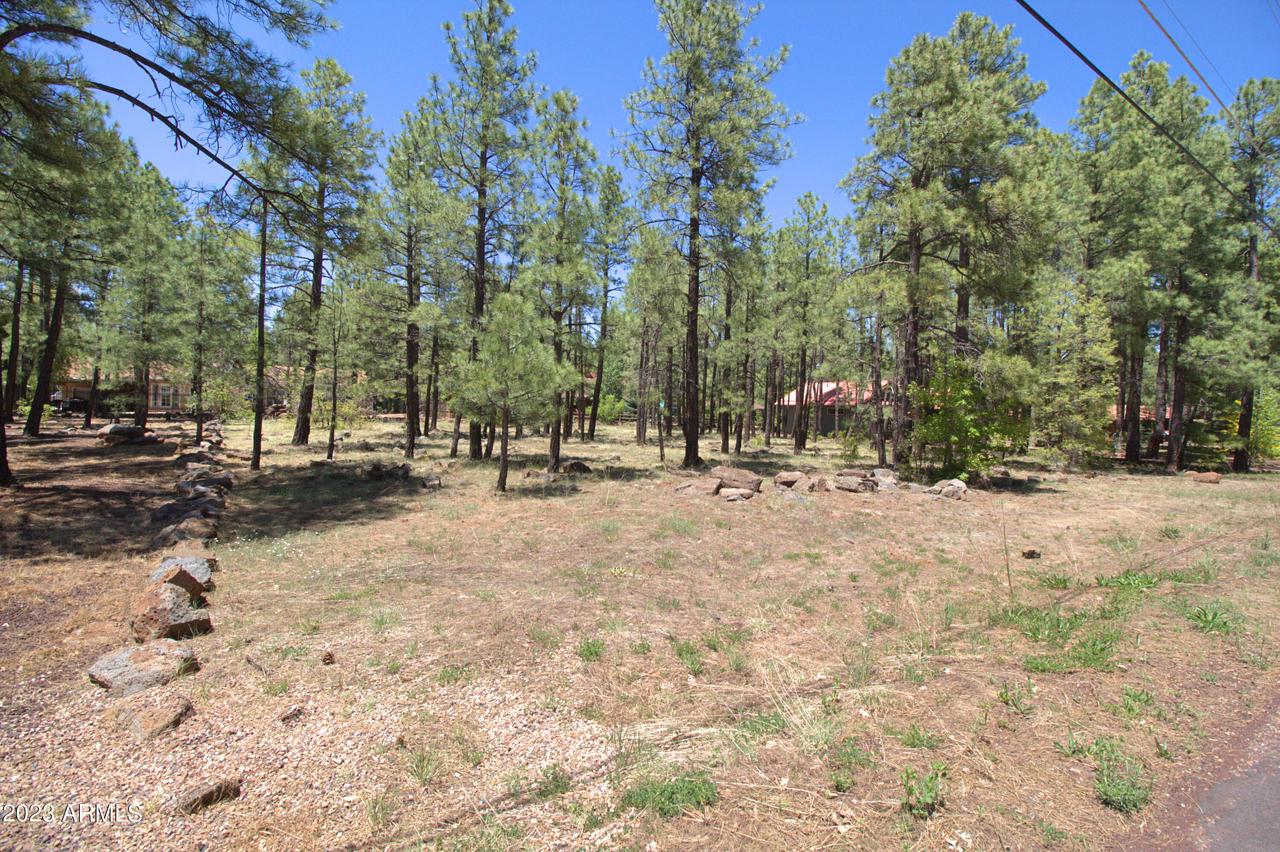 7466 Buck Springs Rd. #175, Pinetop, AZ 85935