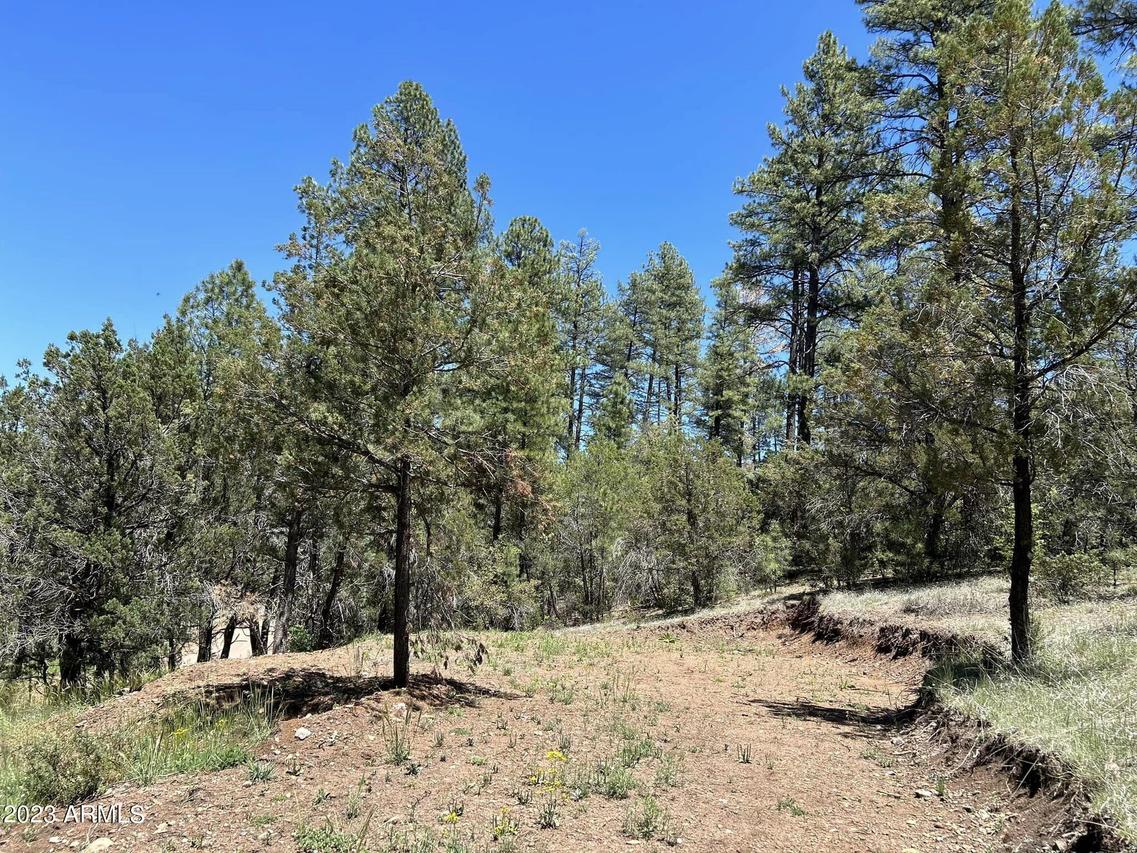 33 W Forest Svc Rd 200, Young, AZ 85554