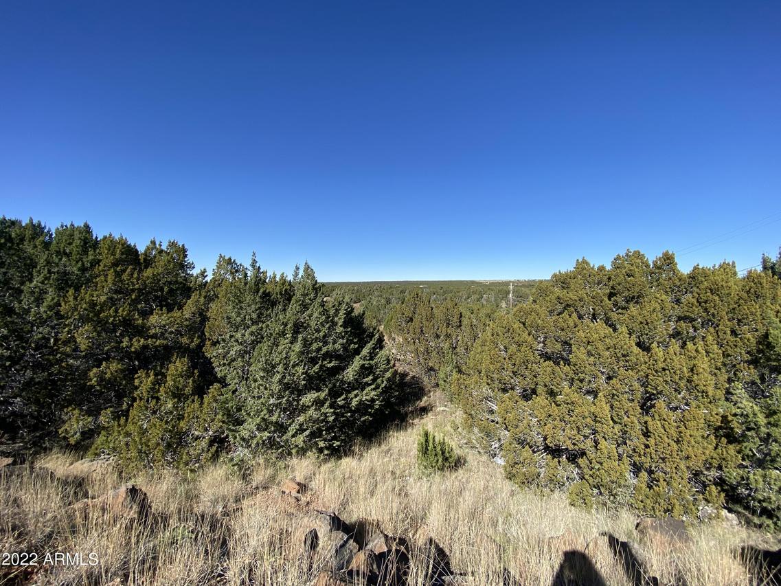 8744 Silver Creek Dr. #133, Show Low, AZ 85901
