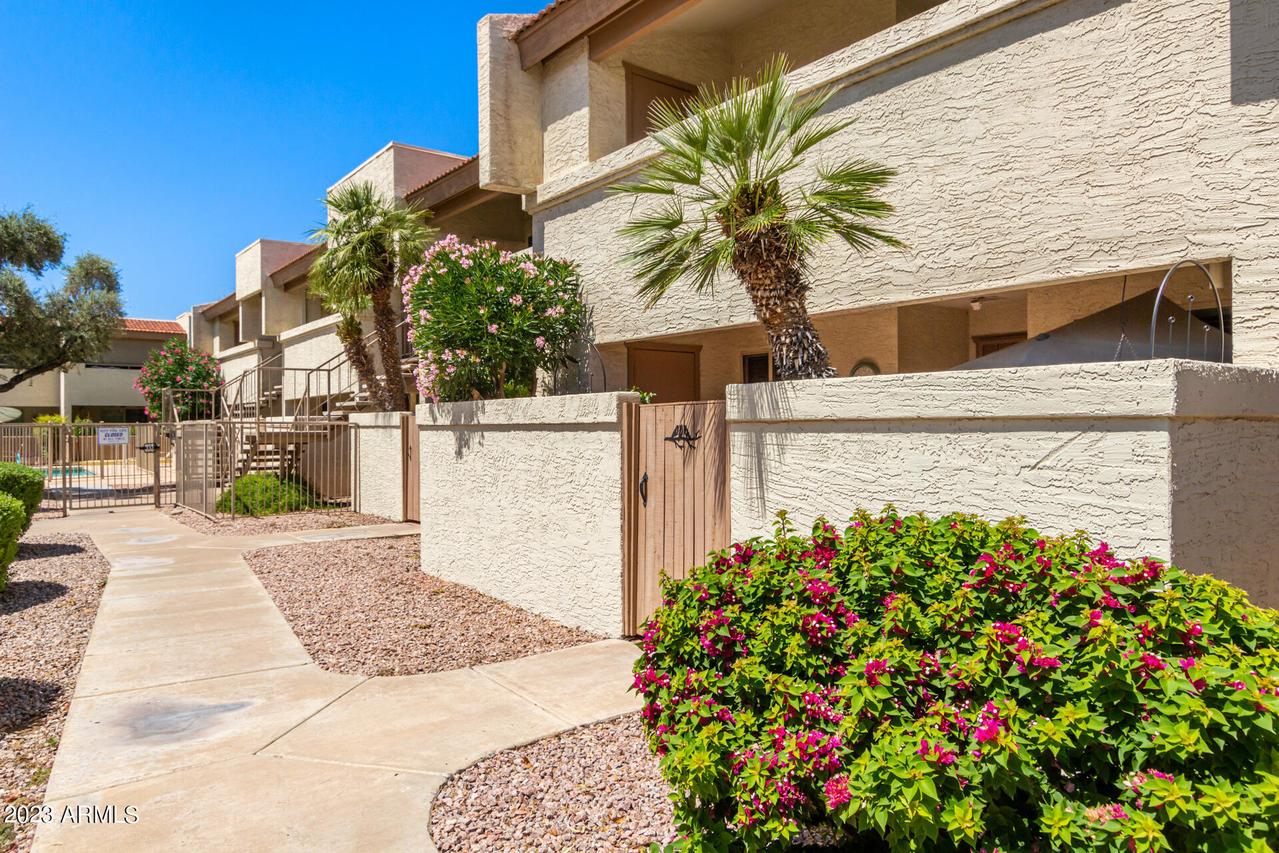 4150 E Cactus Rd. #106, Phoenix, AZ 85032