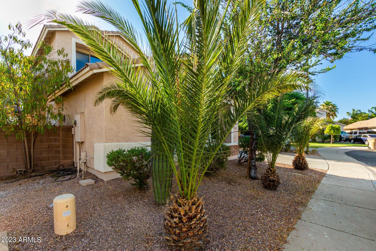 3540 S 257th Ave., Buckeye, AZ 85326