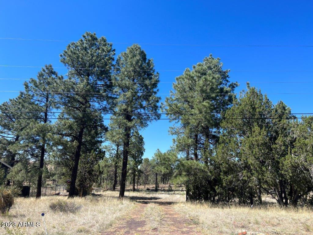 3164 Tonto Dr. #10, Overgaard, AZ 85933