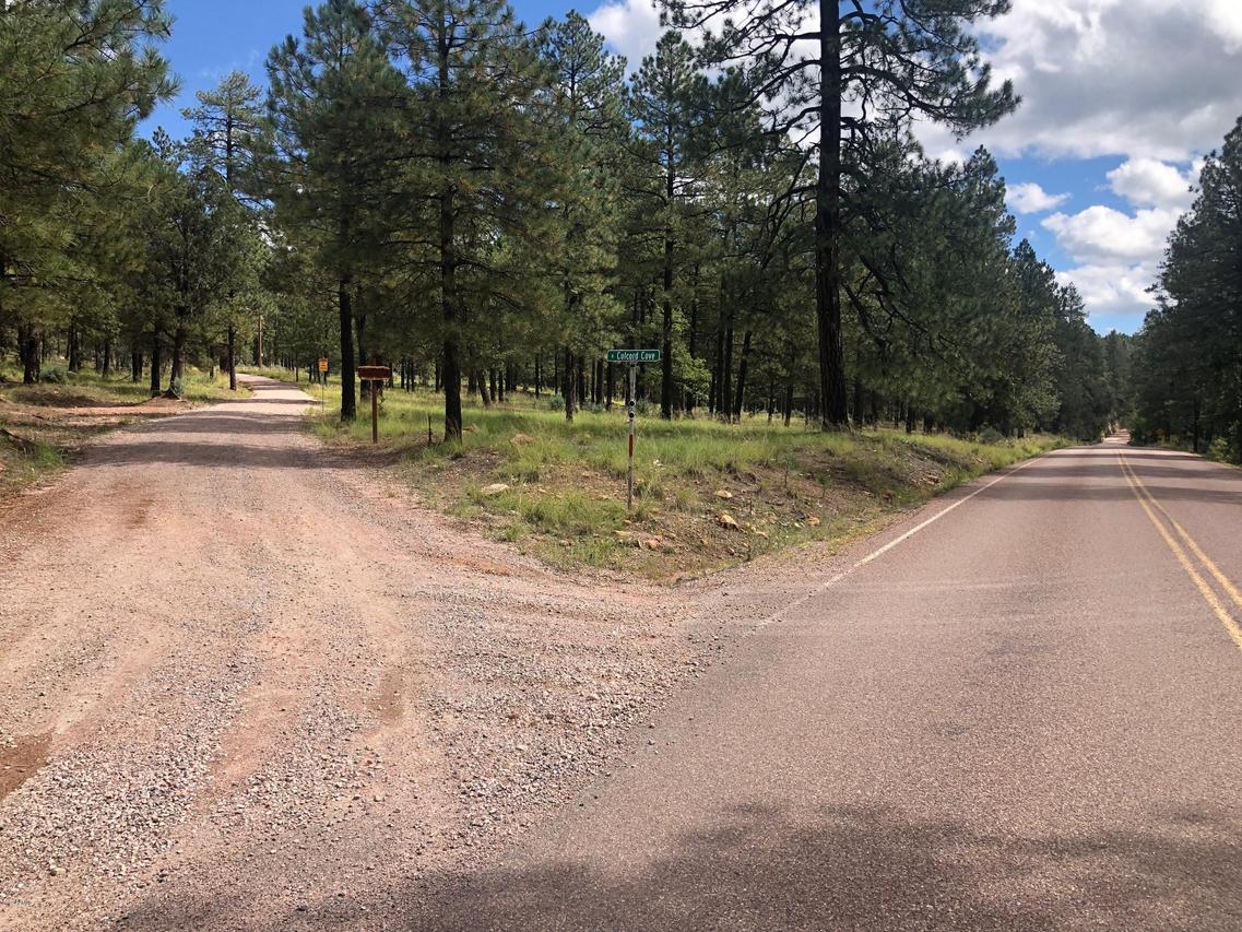 2142 E Creekside Cir. #1T, Payson, AZ 85541