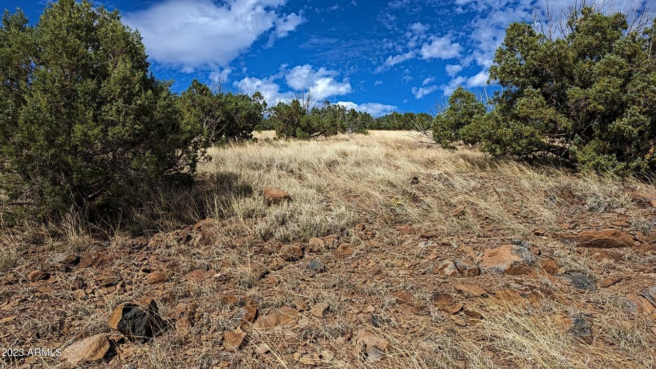 1100 W Warren Way #1208, Ash Fork, AZ 86320