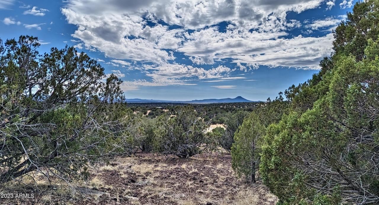 1150 W Warren Way #1207, Ash Fork, AZ 86320