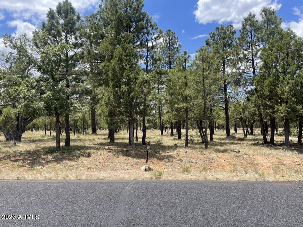 2656 Deer Path #189, Happy Jack, AZ 86024