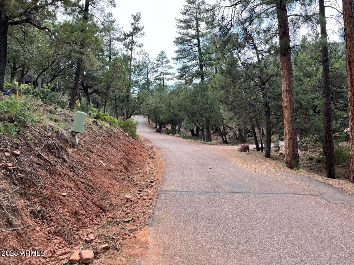 Lot 157 Portal Dr. #157, Pine, AZ 85544