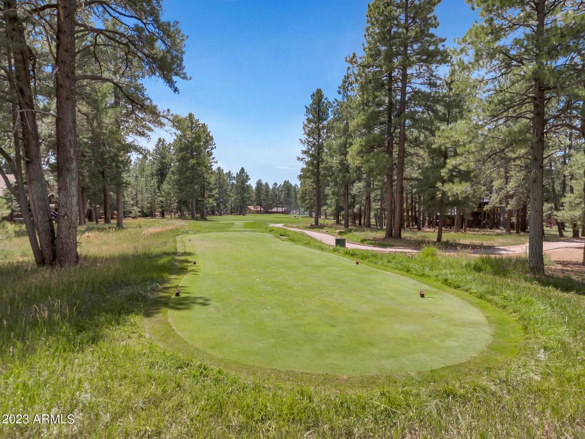 2103 Emma Leslie, Flagstaff, AZ 86005