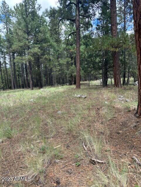 00 Coconino Forest Road 137a, Happy Jack, AZ 86024