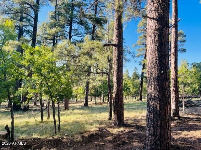 2340 Big Piney Dr. #414, Happy Jack, AZ 86024