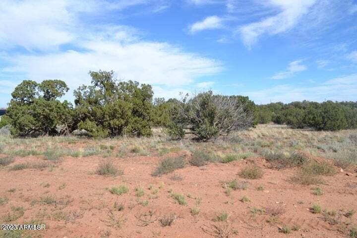 3933 Hidden Ranch Rd. #56, Snowflake, AZ 85937