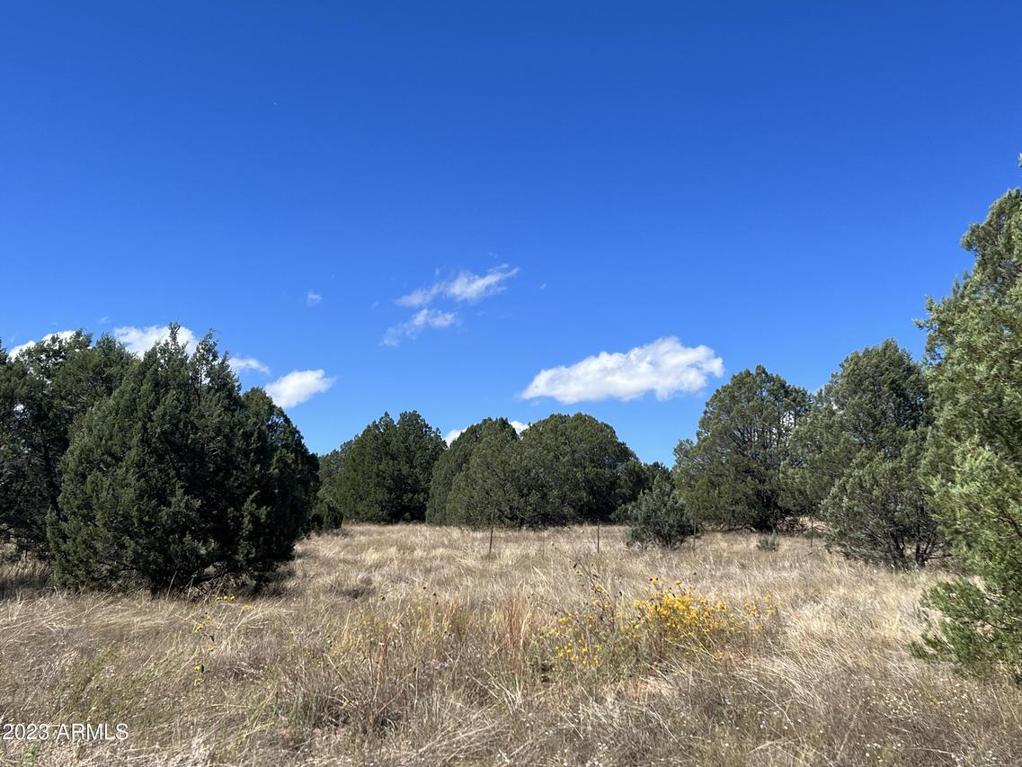 49178 N 288 Hwy. #4, Young, AZ 85554