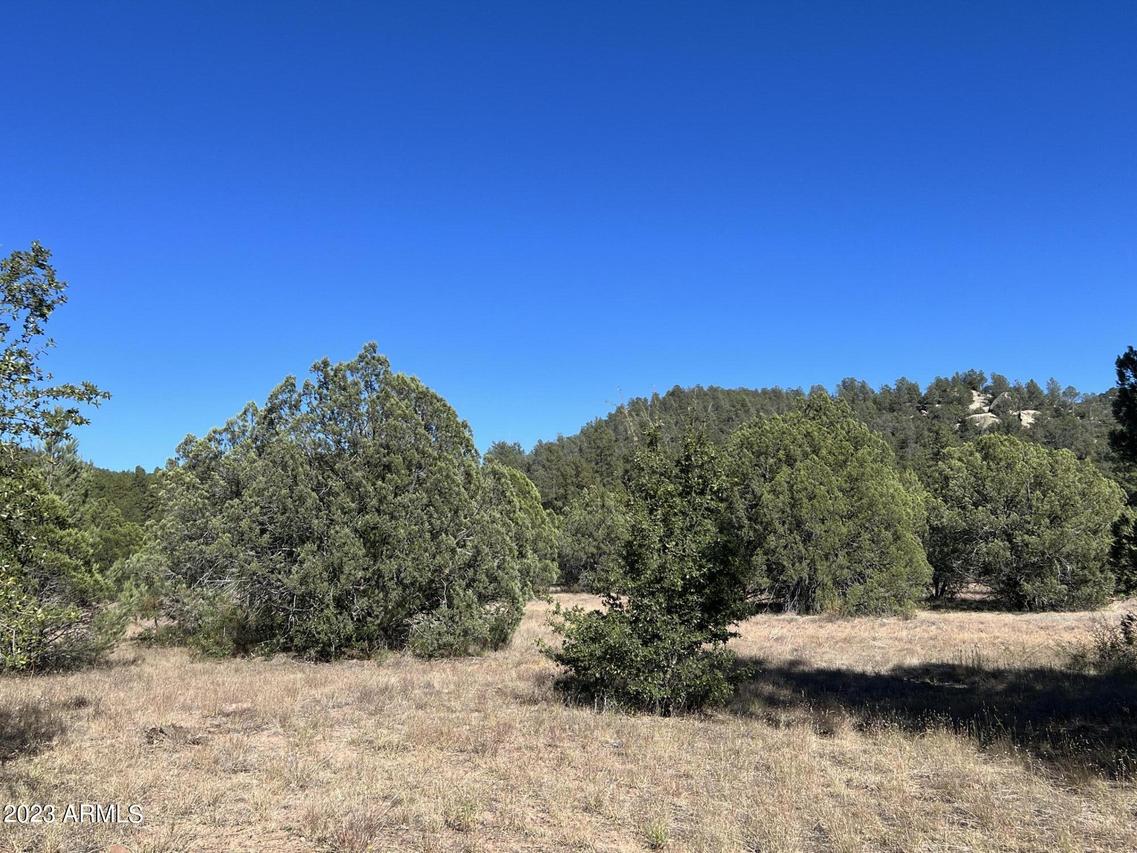 260 E Cline Crossing #2, Young, AZ 85554