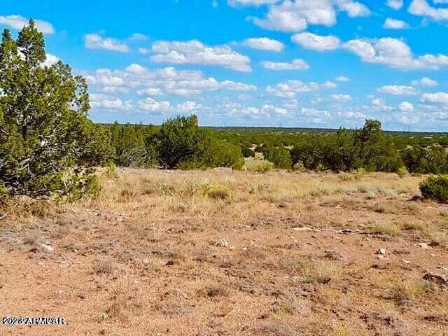 Sec 31 T15n, R16e:nw4 Sw4 #-, Heber, AZ 85928