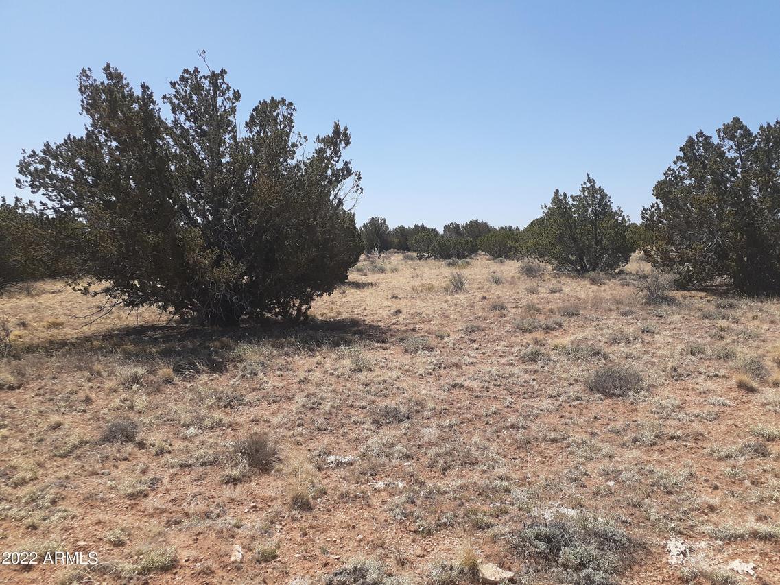 NE 10 Acre 1780 Buffington Hill Rd. #-, Heber, AZ 85928