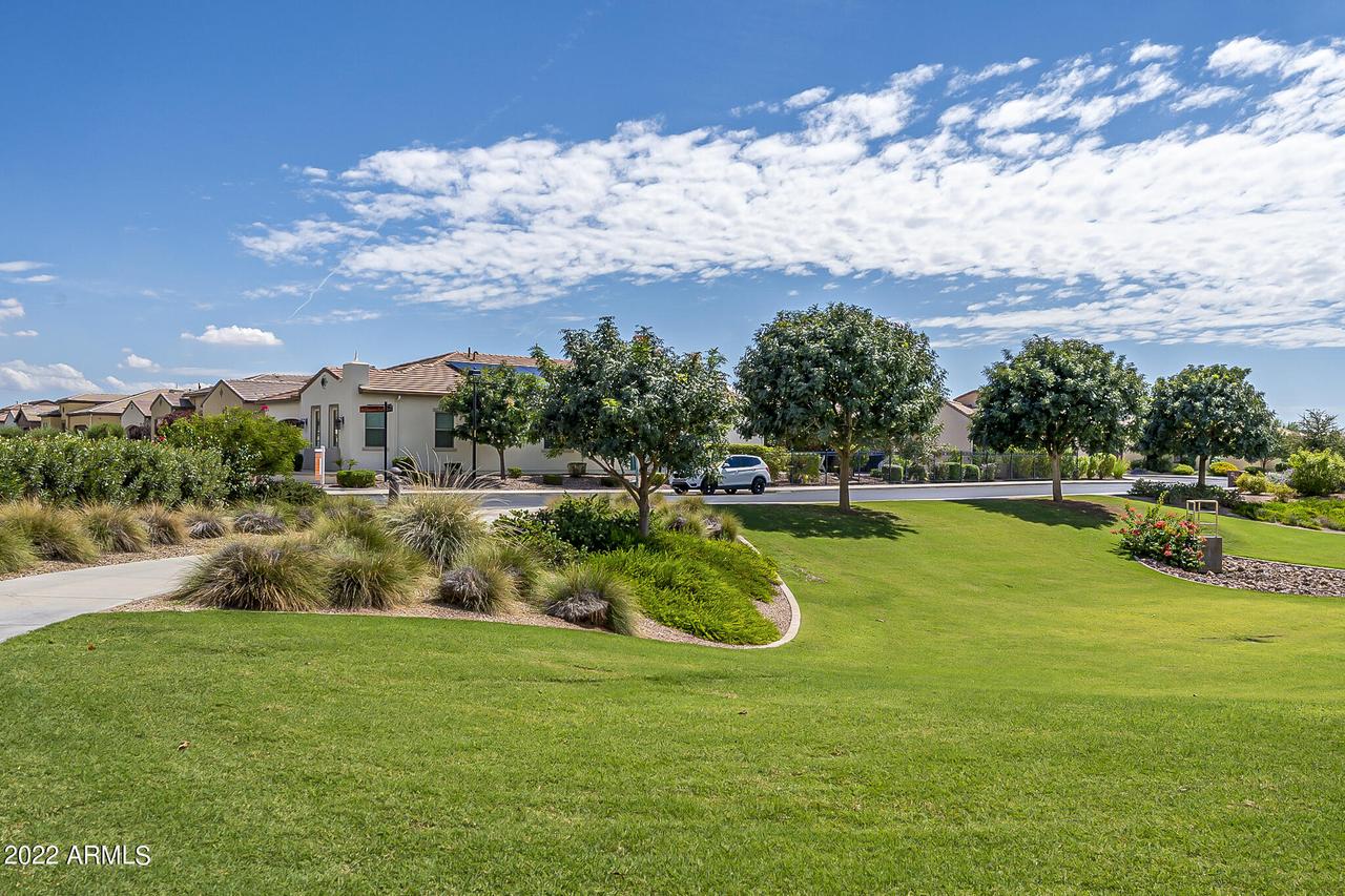 705 E Fruit Stand Way, Queen Creek, AZ 85140
