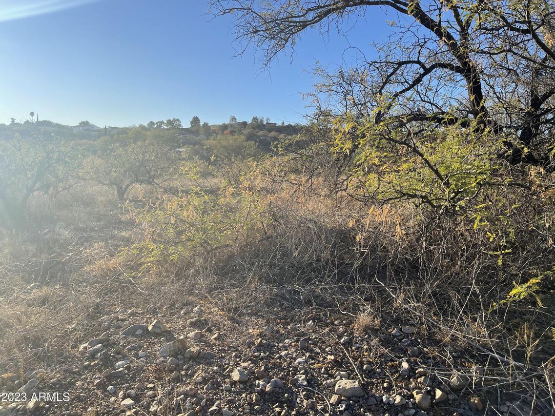 1205 Circulo Aguilar #17, Rio Rico, AZ 85648