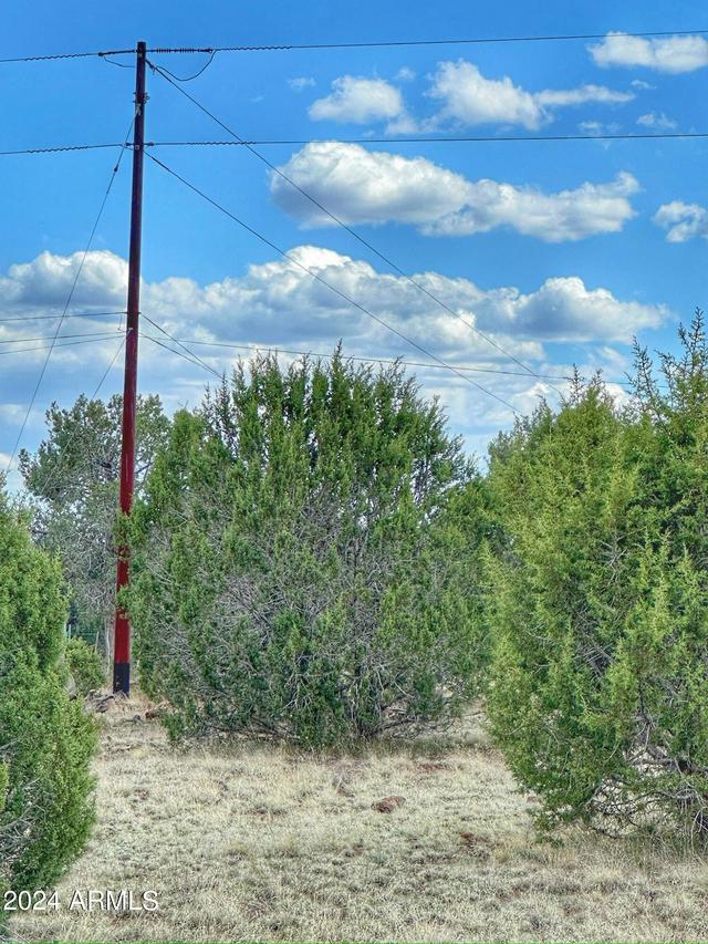 1381 W Isabella Ln., Ash Fork, AZ 86320