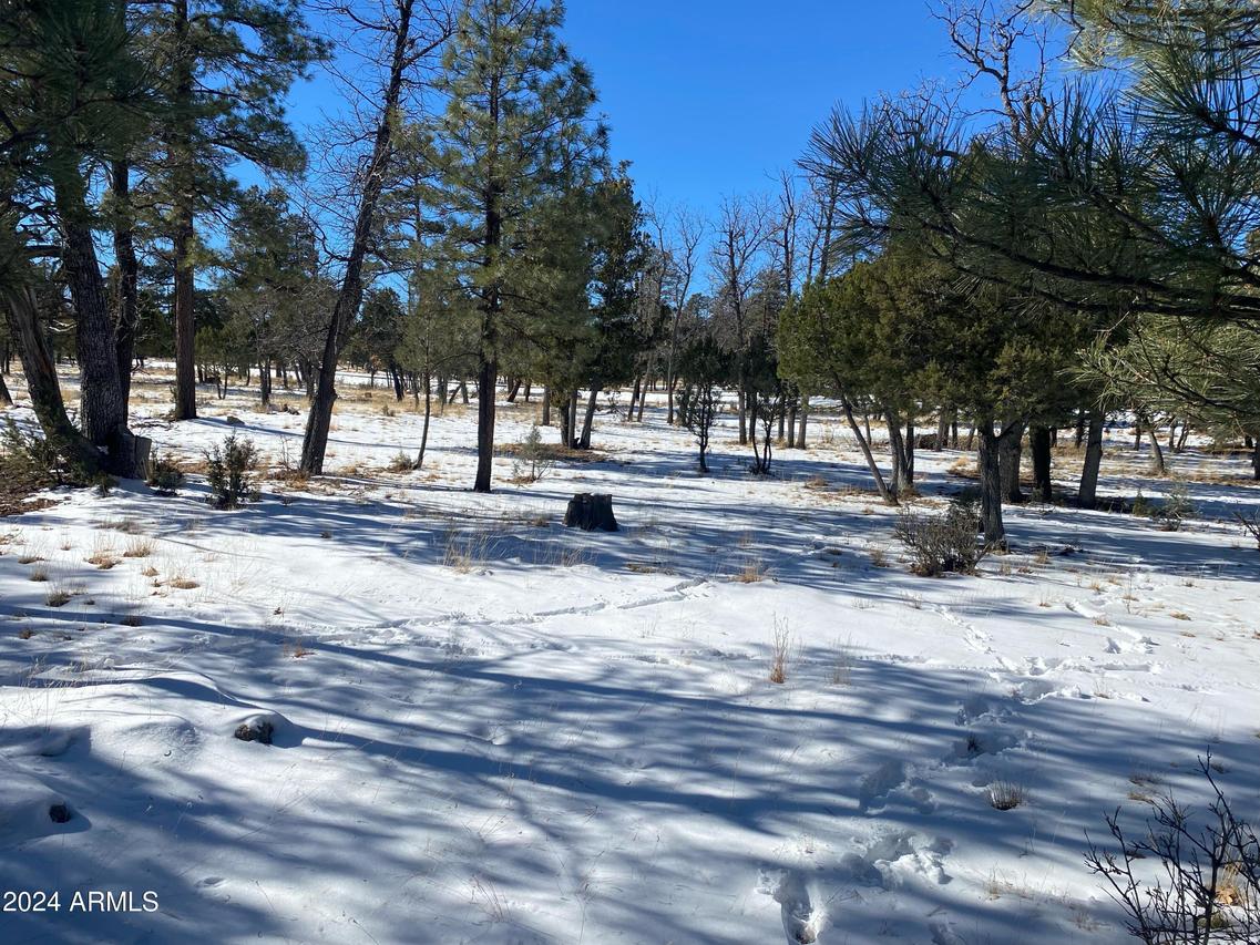 3974 Durango Dr. #237, Happy Jack, AZ 86024