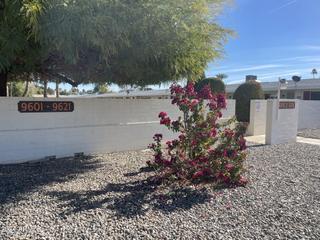9619 N 111th Ave., Sun City, AZ 85351