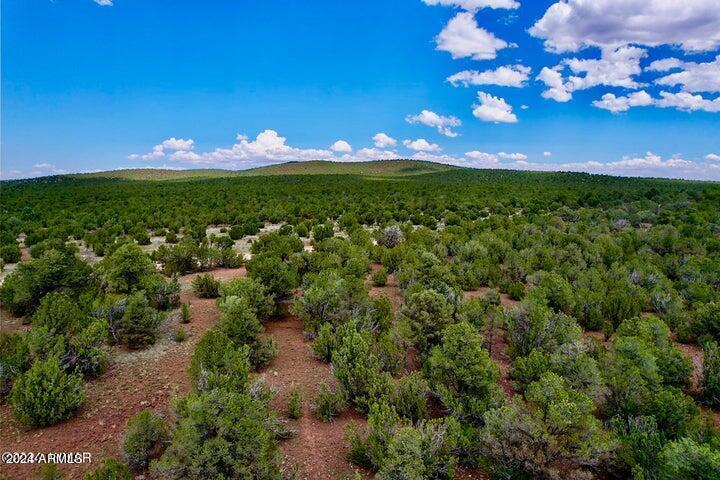 4 Co Rd 3187 Lot 2 5.09 Acres #-, Vernon, AZ 85940