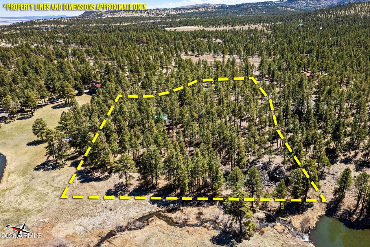 9 County Road N1029, Greer, AZ 85927