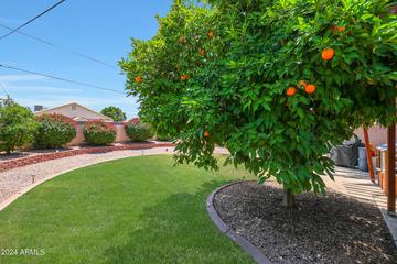 3955 N 14th St., Phoenix, AZ 85014