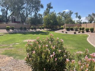 805 S Sycamore St. #123, Mesa, AZ 85202