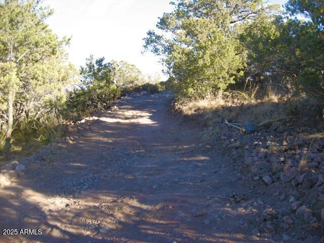 TBD 89.59 Acres Juniper Flats Rd. #-, Bisbee, AZ 85603