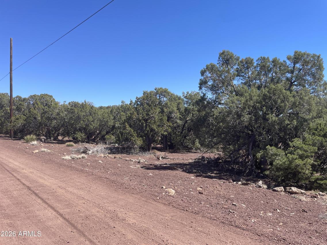 73 Show Low Pines Unit 8 Lot 346 Rd. #346, Show Low, AZ 85901