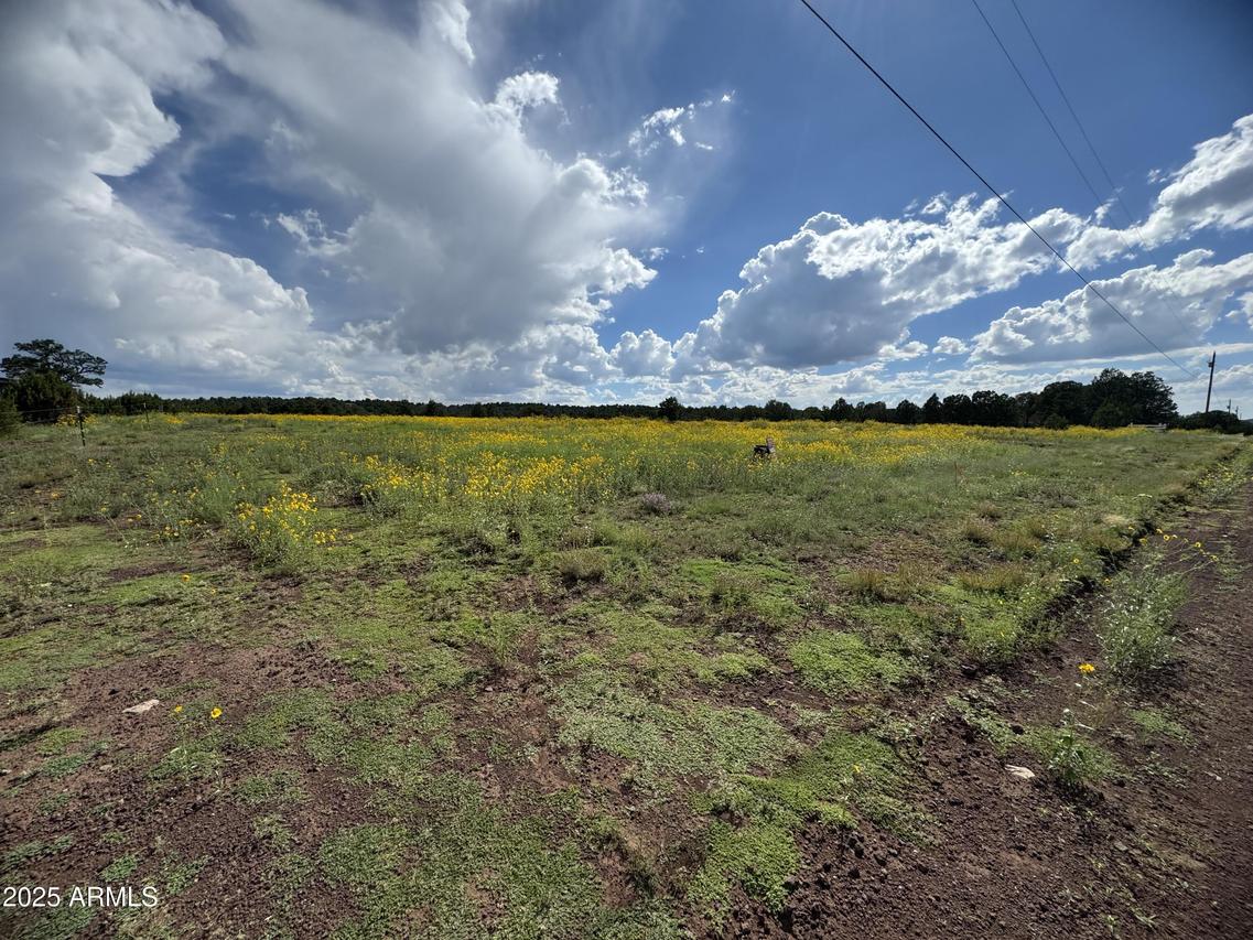 20 County Road 8405, Parcel C #B, Vernon, AZ 85940