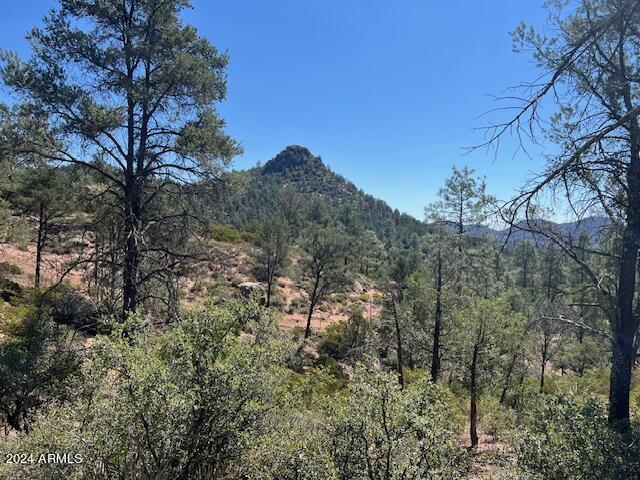 901 S Monument Valley Dr. #164, Payson, AZ 85541
