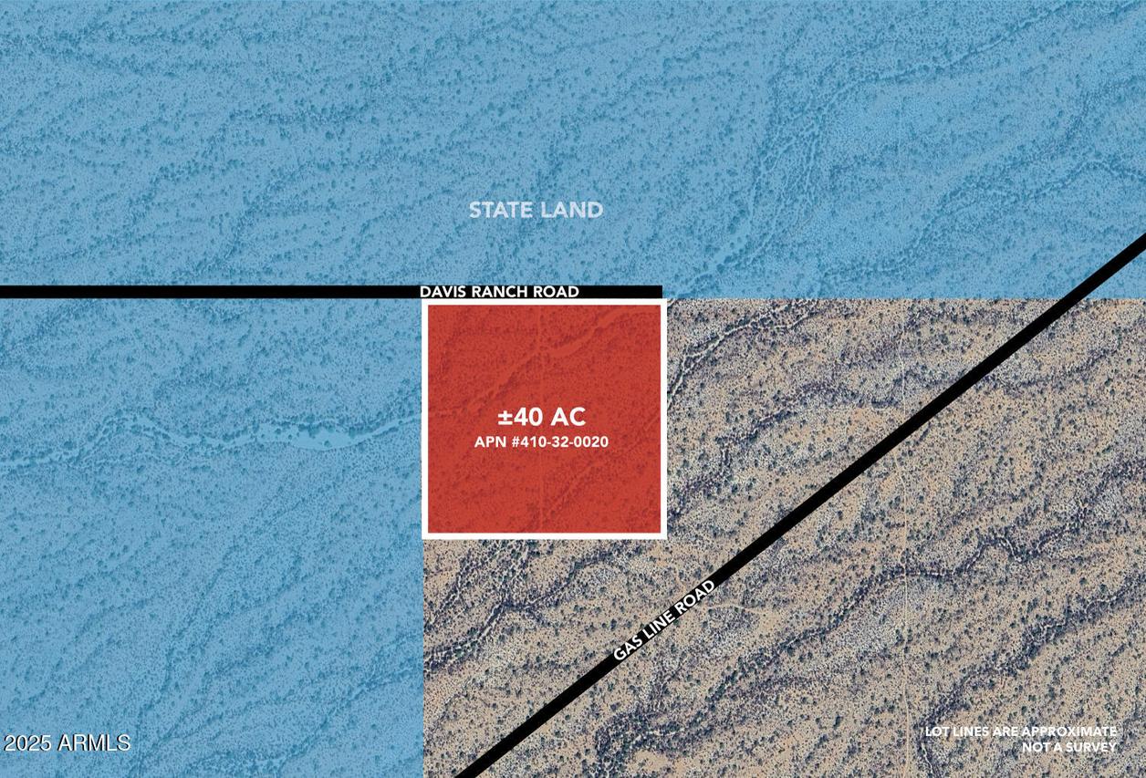 +/-40acres E Davis Ranch Rd. #-, Marana, AZ 85658