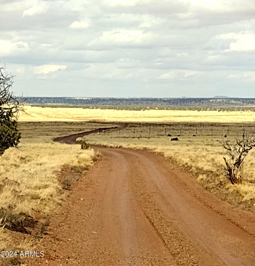 Lot 88 Ranch Of The White Mountains #088, Concho, AZ 85924