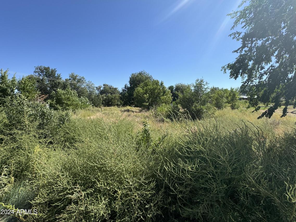 Lot #5 W Denver Subdivision Block: 16 #5, St Johns, AZ 85936